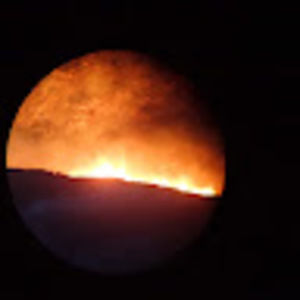 Meet your Posher, Lizette